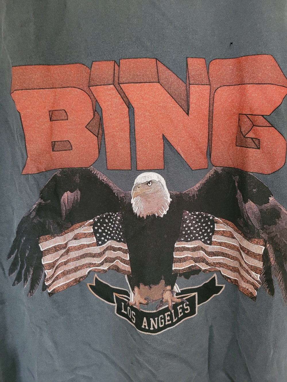 ANINE BING Graphic Eagle Tee in Charcoal with Rust Logo - Picture 8 of 8